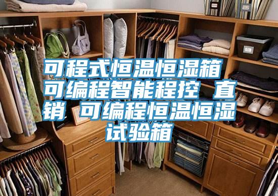 可程式恒溫恒濕箱 可編程智能程控 直銷 可編程恒溫恒濕試驗(yàn)箱
