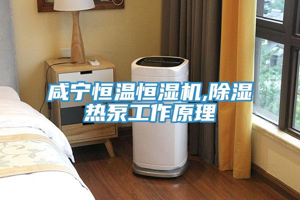 咸寧恒溫恒濕機(jī),除濕熱泵工作原理