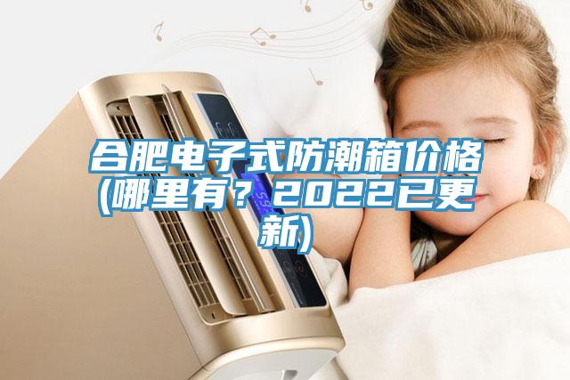 合肥電子式防潮箱價格(哪里有？2022已更新)