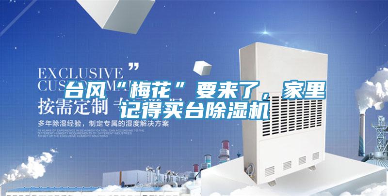 臺(tái)風(fēng)“梅花”要來了，家里記得買臺(tái)除濕機(jī)