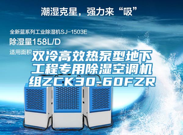雙冷高效熱泵型地下工程專(zhuān)用除濕空調(diào)機(jī)組ZCK30-60FZR