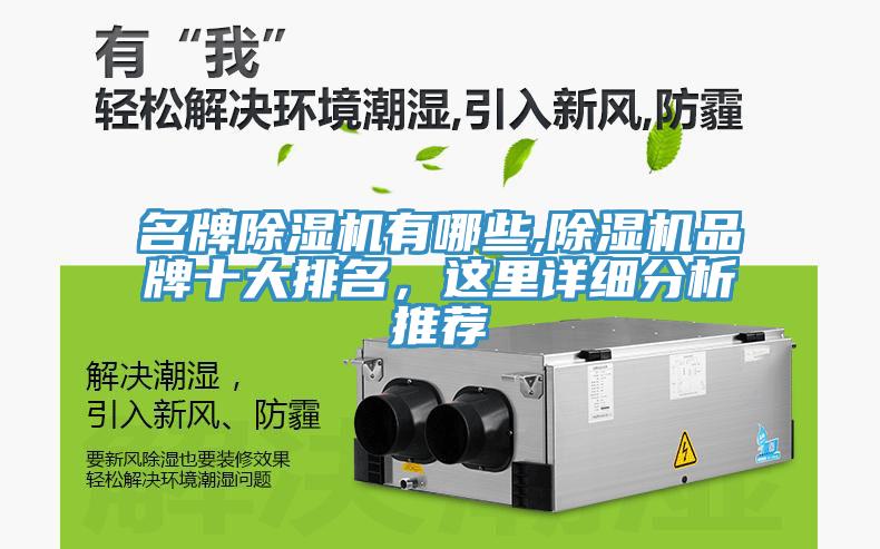 名牌除濕機有哪些,除濕機品牌十大排名，這里詳細分析推薦