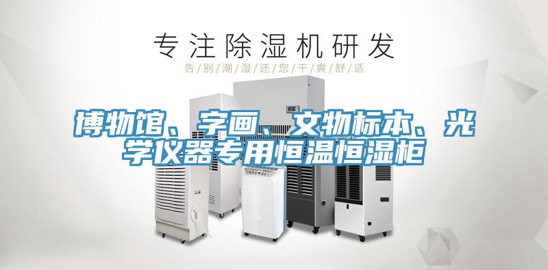 博物館、字畫、文物標(biāo)本、光學(xué)儀器專用恒溫恒濕柜