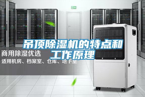 吊頂除濕機(jī)的特點(diǎn)和工作原理