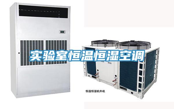 實(shí)驗(yàn)室恒溫恒濕空調(diào)