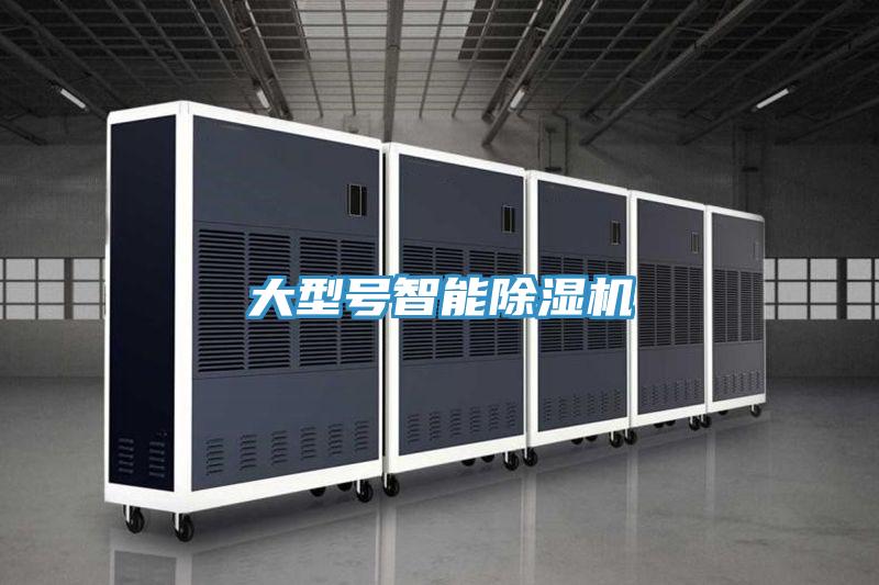 大型號智能除濕機