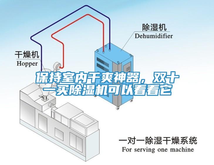 保持室內干爽神器，雙十一買除濕機可以看看它