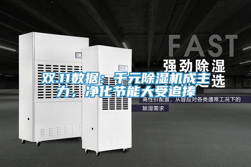 雙.11數(shù)據(jù)：千元除濕機(jī)成主力，凈化節(jié)能大受追捧