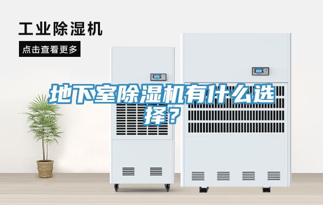 地下室除濕機(jī)有什么選擇？