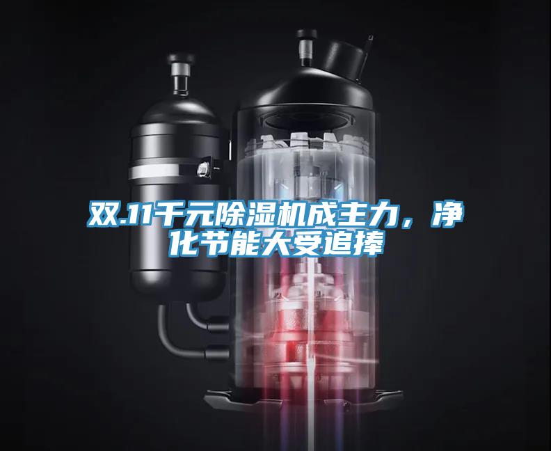 雙.11千元除濕機(jī)成主力，凈化節(jié)能大受追捧