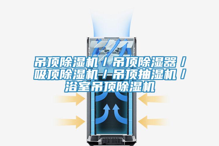 吊頂除濕機(jī)／吊頂除濕器／吸頂除濕機(jī)／吊頂抽濕機(jī)／浴室吊頂除濕機(jī)