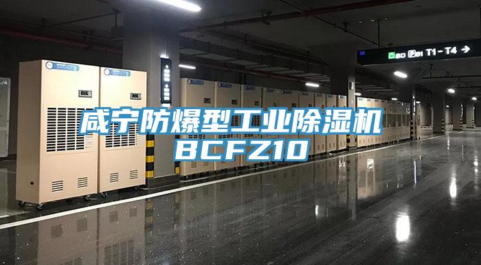 咸寧防爆型工業(yè)除濕機(jī) BCFZ10