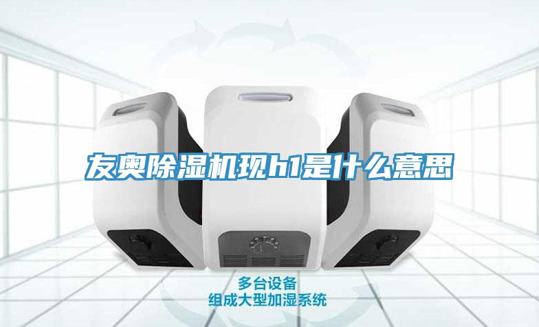 友奧除濕機(jī)現(xiàn)h1是什么意思