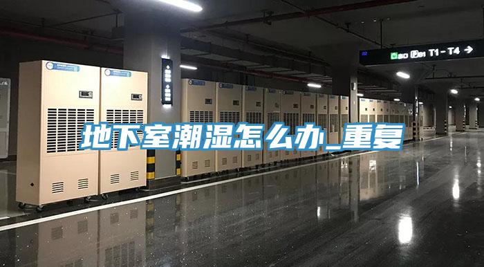 地下室潮濕怎么辦_重復(fù)