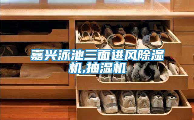 嘉興泳池三面進(jìn)風(fēng)除濕機(jī),抽濕機(jī)