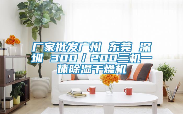 廠家批發(fā)廣州 東莞 深圳 300／200三機(jī)一體除濕干燥機(jī)
