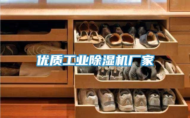 優(yōu)質(zhì)工業(yè)除濕機廠家