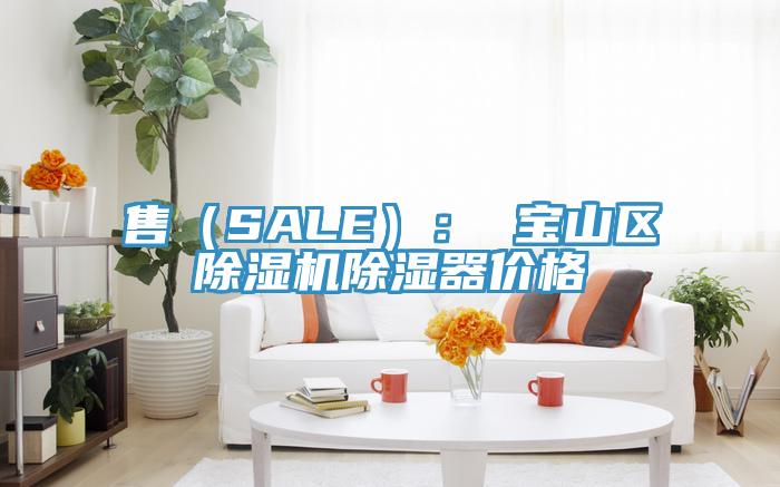 售（SALE）： 寶山區(qū)除濕機(jī)除濕器價(jià)格