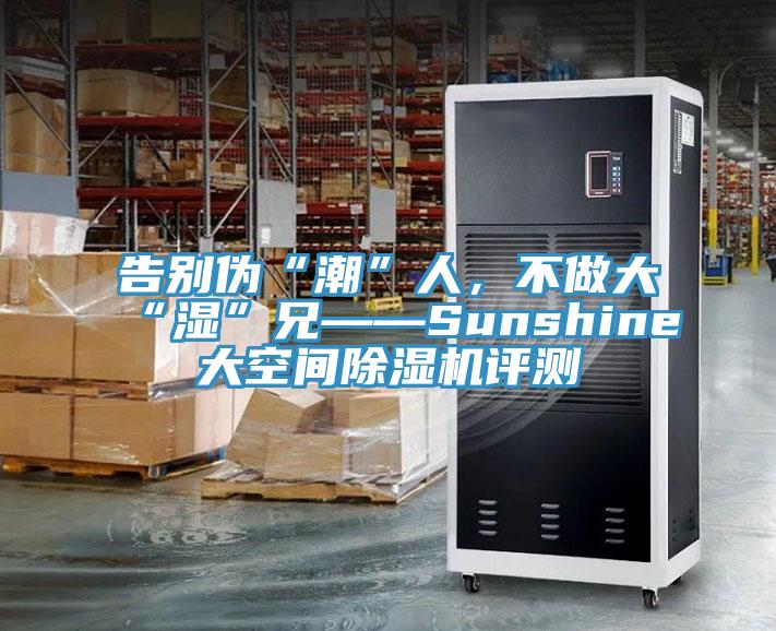 告別偽“潮”人，不做大“濕”兄——Sunshine大空間除濕機(jī)評(píng)測(cè)