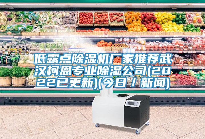 低露點除濕機廠家推薦武漢柯恩專業(yè)除濕公司(2022已更新)(今日／新聞)