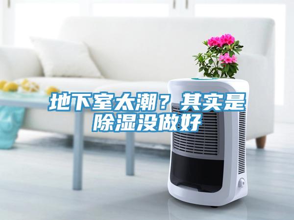 地下室太潮？其實是除濕沒做好