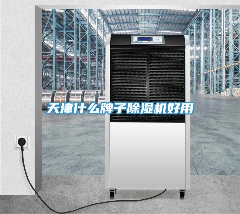 天津什么牌子除濕機(jī)好用
