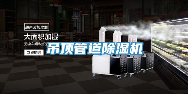 吊頂管道除濕機(jī)