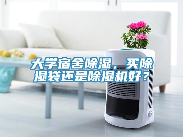 大學宿舍除濕，買除濕袋還是除濕機好？