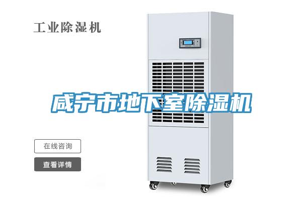 咸寧市地下室除濕機