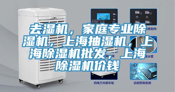 去濕機，家庭專業(yè)除濕機，上海抽濕機，上海除濕機批發(fā)，上海除濕機價錢