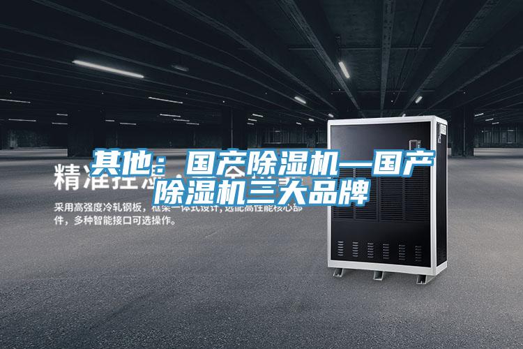 其他：國(guó)產(chǎn)除濕機(jī)—國(guó)產(chǎn)除濕機(jī)三大品牌