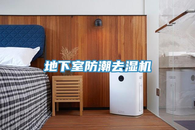 地下室防潮去濕機(jī)