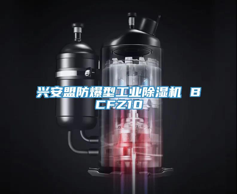 興安盟防爆型工業(yè)除濕機(jī) BCFZ10