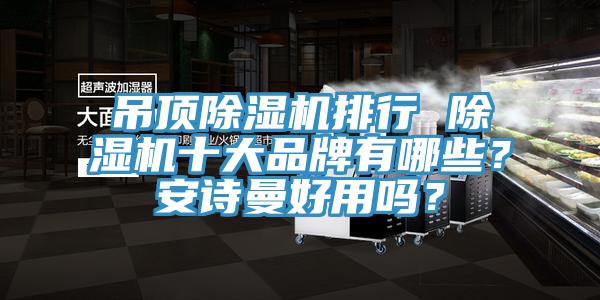 吊頂除濕機(jī)排行 除濕機(jī)十大品牌有哪些？安詩(shī)曼好用嗎？