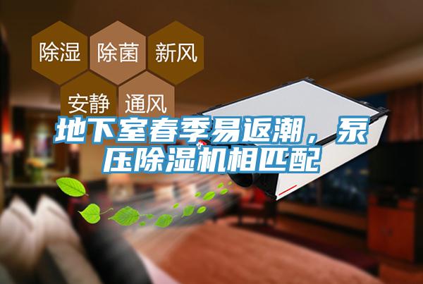 地下室春季易返潮，泵壓除濕機相匹配