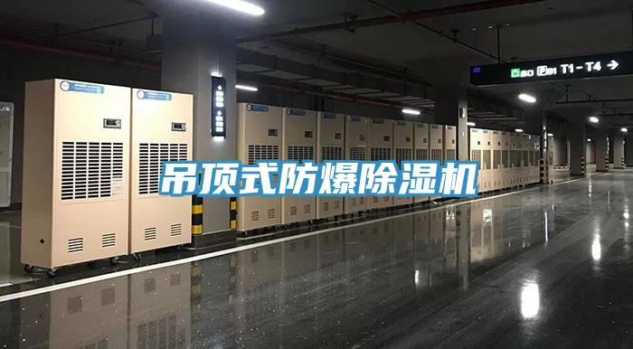 吊頂式防爆除濕機(jī)