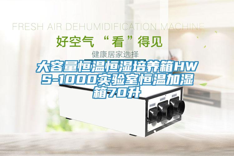 大容量恒溫恒濕培養(yǎng)箱HWS-1000實(shí)驗(yàn)室恒溫加濕箱70升