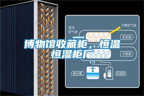 博物館收藏柜，恒溫恒濕柜廠