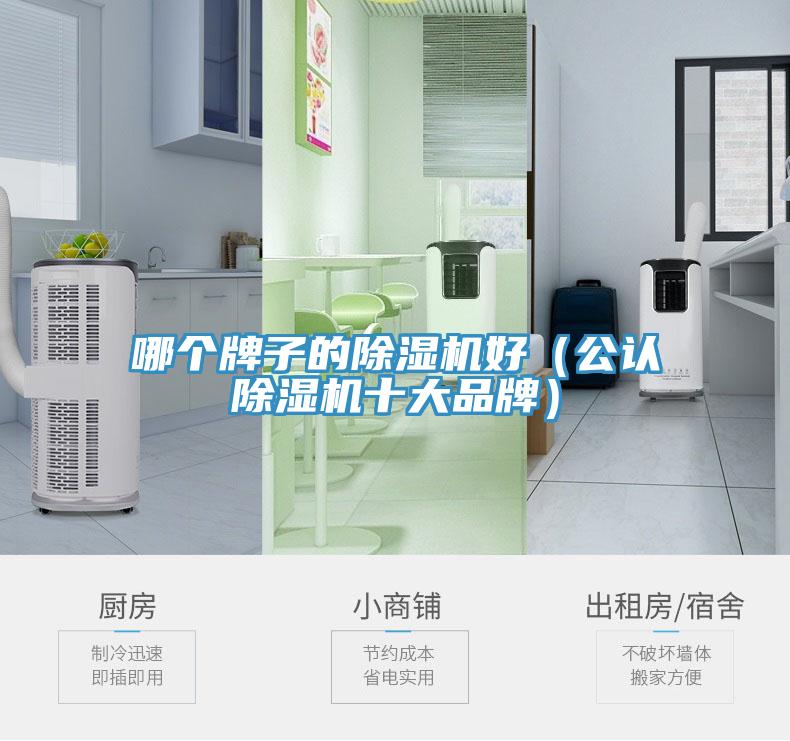 哪個牌子的除濕機好（公認(rèn)除濕機十大品牌）