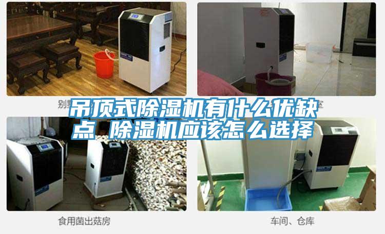 吊頂式除濕機(jī)有什么優(yōu)缺點(diǎn) 除濕機(jī)應(yīng)該怎么選擇