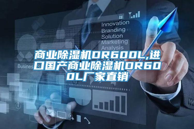 商業(yè)除濕機(jī)DR600L,進(jìn)口國(guó)產(chǎn)商業(yè)除濕機(jī)DR600L廠家直銷