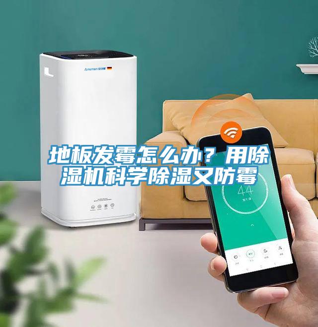地板發(fā)霉怎么辦？用除濕機科學(xué)除濕又防霉