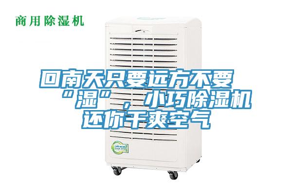 回南天只要遠(yuǎn)方不要“濕”，小巧除濕機(jī)還你干爽空氣