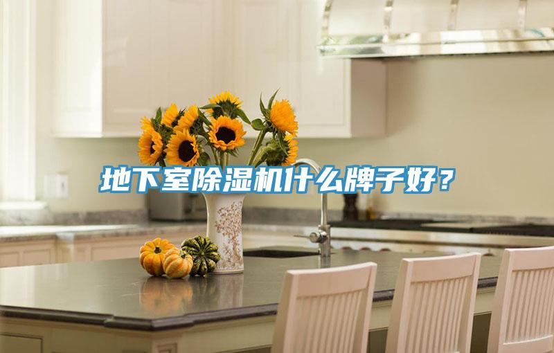 地下室除濕機(jī)什么牌子好？