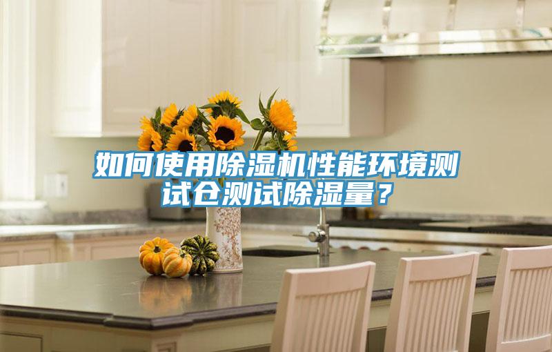 如何使用除濕機性能環(huán)境測試倉測試除濕量？