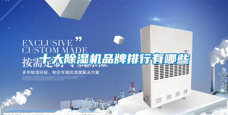 十大除濕機(jī)品牌排行有哪些