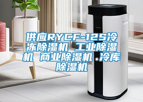 供應(yīng)RYCF-12S冷凍除濕機 工業(yè)除濕機 商業(yè)除濕機 冷庫除濕機