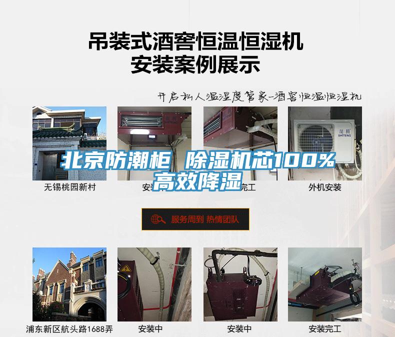 北京防潮柜 除濕機(jī)芯100%高效降濕