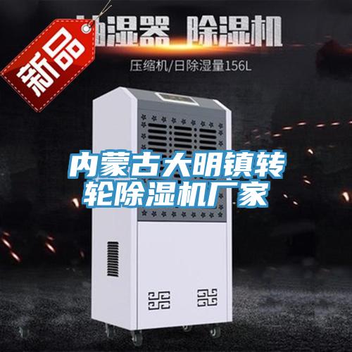 內(nèi)蒙古大明鎮(zhèn)轉(zhuǎn)輪除濕機(jī)廠家