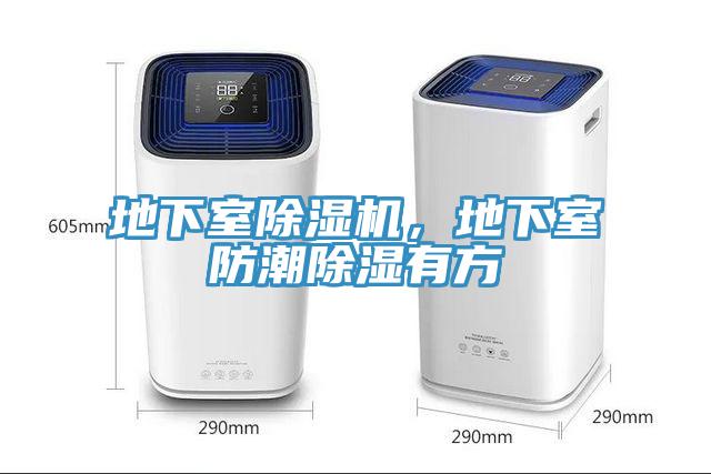 地下室除濕機(jī)，地下室防潮除濕有方